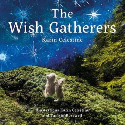 The Wish Gatherers book