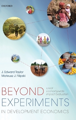 Beyond Experiments in Development Economics book