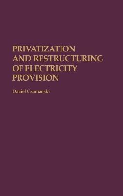 Privatization and Restructuring of Electricity Provision book