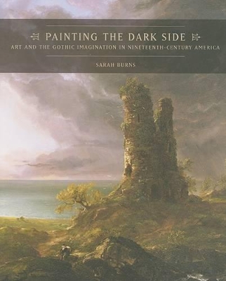 Painting the Dark Side book