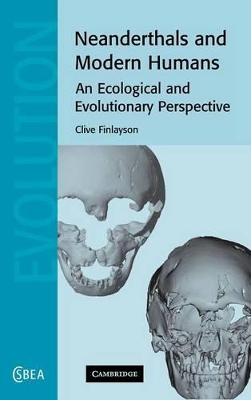 Neanderthals and Modern Humans book