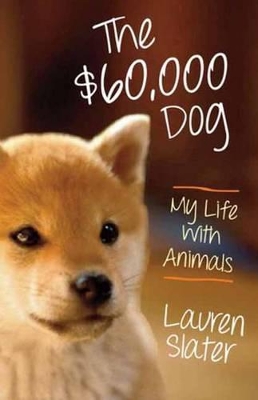 $60,000 Dog book