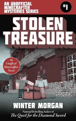 Stolen Treasure book