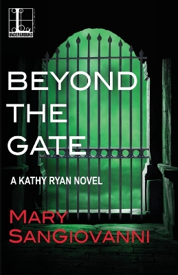 Beyond the Gate book