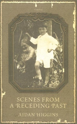 Scenes from a Receding Past book