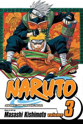 Naruto book