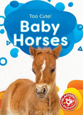 Baby Horses book