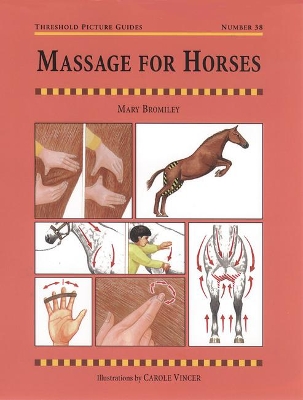 Massage for Horses book