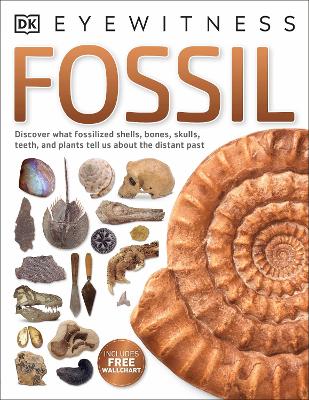 Fossil book
