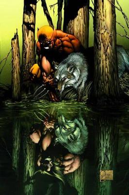 Wolverine Origins book