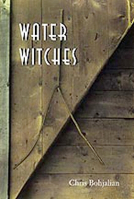Water Witches book