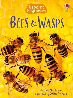 Usborne Beginners: Bees & Wasps book