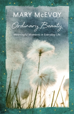 Ordinary Beauty by Mary McEvoy