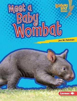 Meet a Baby Wombat book