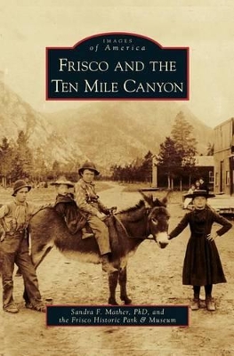 Frisco and the Ten Mile Canyon book