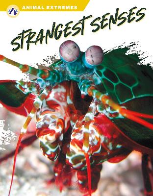 Strangest Senses by Ashley Gish