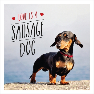 Love is a Sausage Dog book