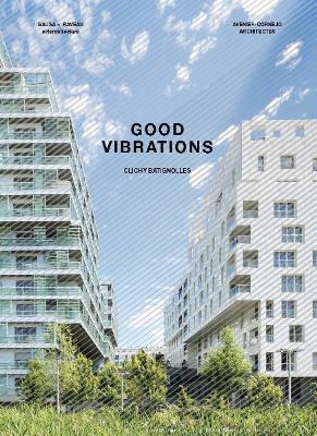 Good Vibrations book