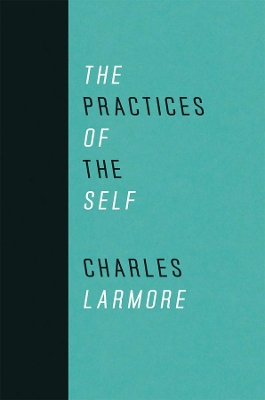 Practices of the Self book