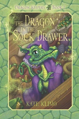 Dragon in the Sock Drawer book