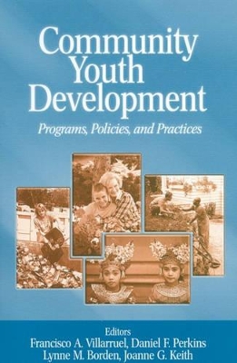 Community Youth Development book