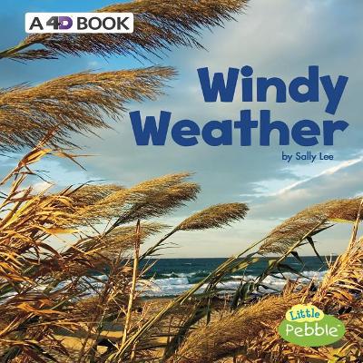 Windy Weather book