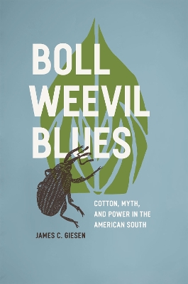 Boll Weevil Blues book