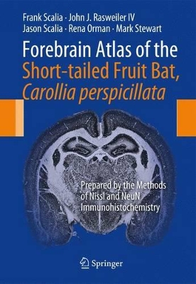 Forebrain Atlas of the Short-tailed Fruit Bat, Carollia perspicillata: Prepared by the Methods of Nissl and NeuN Immunohistochemistry book