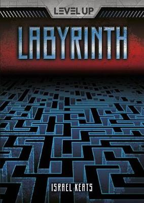 Labyrinth book