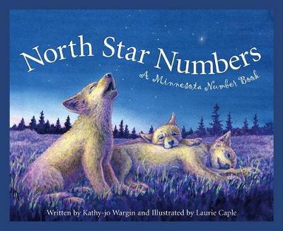 North Star Numbers book