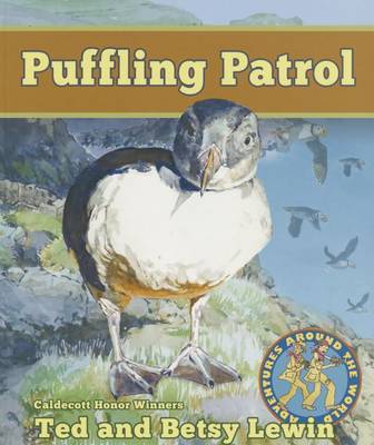 Puffling Patrol by Ted Lewin