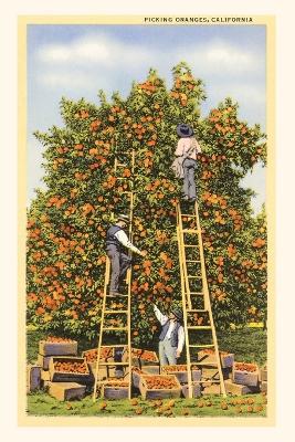 Vintage Journal Picking Oranges in California book