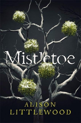Mistletoe: 'The perfect read for frosty nights' HEAT book