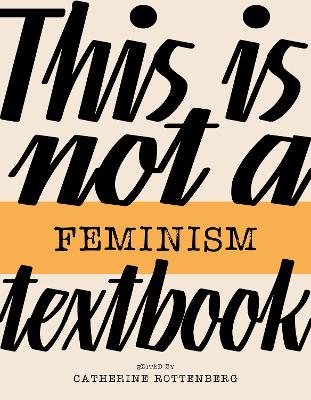 This Is Not a Feminism Textbook book