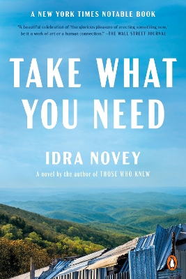 Take What You Need: A Novel by Idra Novey