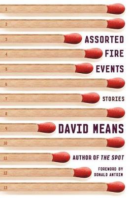 Assorted Fire Events by David Means