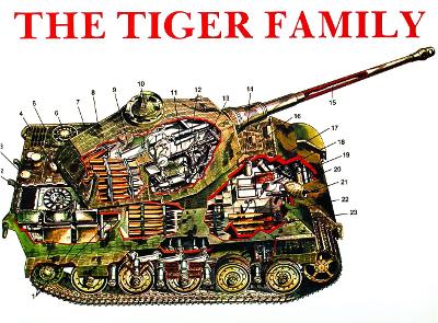 Tiger Family book