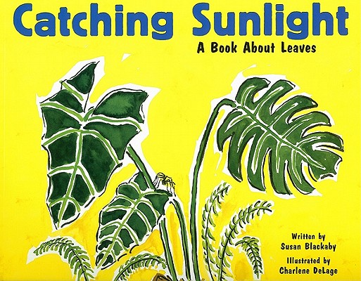 Catching Sunlight book