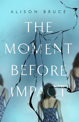 The Moment Before Impact book