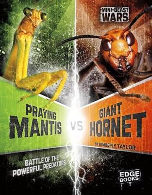 Praying Mantis vs Giant Hornet by Alicia Z Klepeis