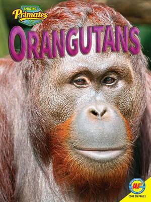 Orangutans book