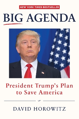 Big Agenda book