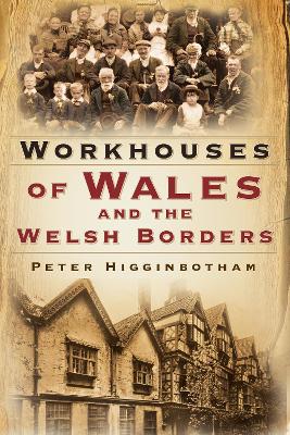 Workhouses of Wales and the Welsh Borders book