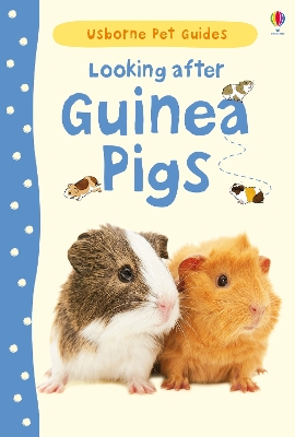 Looking After Guinea Pigs book