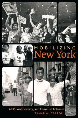 Mobilizing New York by Tamar W Carroll