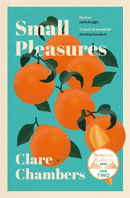 Small Pleasures: Longlisted for the Women’s Prize for Fiction 2021 by Clare Chambers