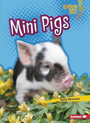 Mini Pigs book