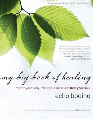 My Big Book of Healing book