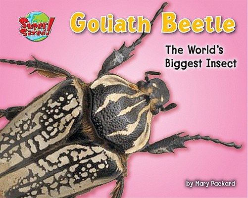 Goliath Beetle: One of the World's Heaviest Insects book