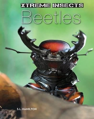 Beetles book